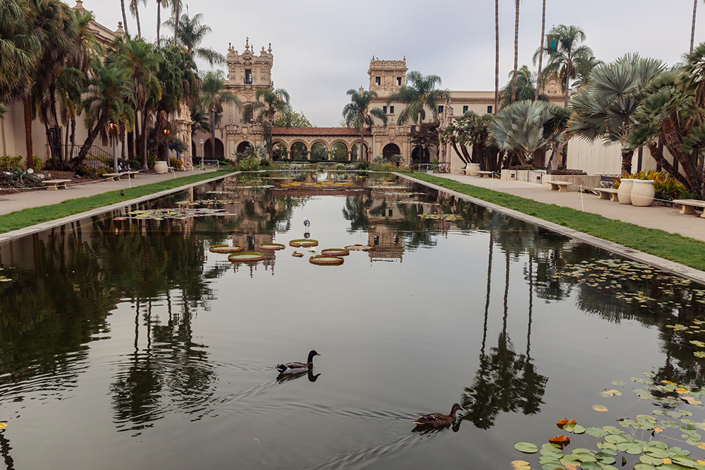 Balboa Park's Iconic Architecture Reflects In The Tranquil Lily