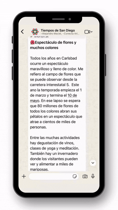 Tiempos WhatsApp
